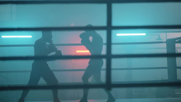 Two Boxer In Ring