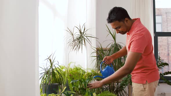 Indian Man Watering Houseplants at Home