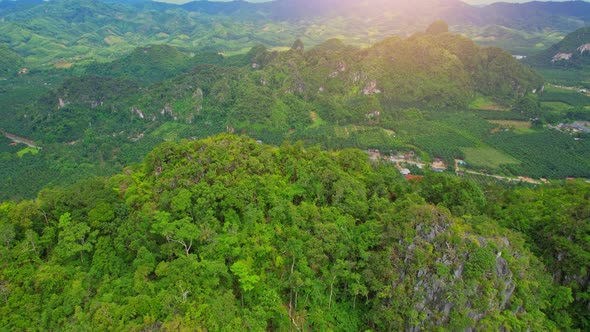 Mountains and tropical plants in southern Thailand