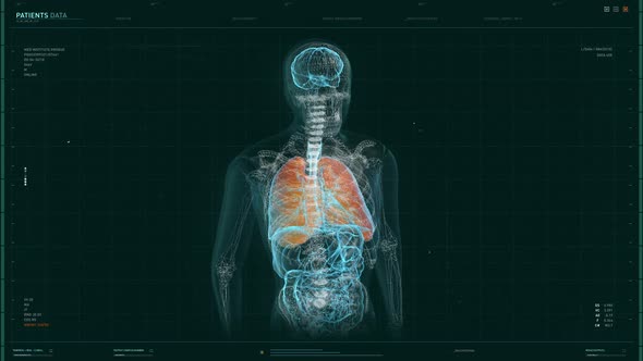 Searching for the Dangerous Virus on the Human Lungs using modern Software alt