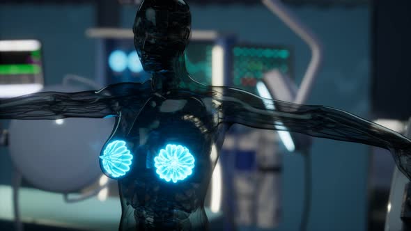 Medical Scan of Woman Breast alt