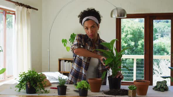 Caucasian woman vlogging, potting plants at home