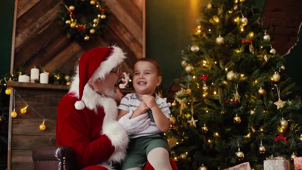 Little Cute Boy Making Wish Sitting on Santa Claus Laps, Next To Christmas Tree