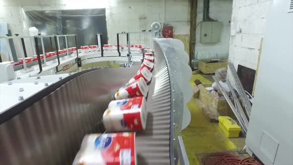 Paper Rolls On Conveyor In Paper Production Factory.