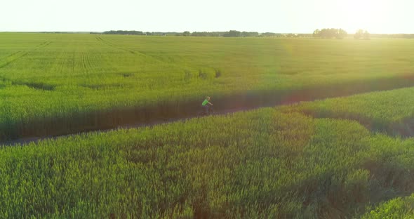 Aerial View on Young Boy, That Rides a Bicycle Thru a Wheat Grass Field on the Old Rural Road