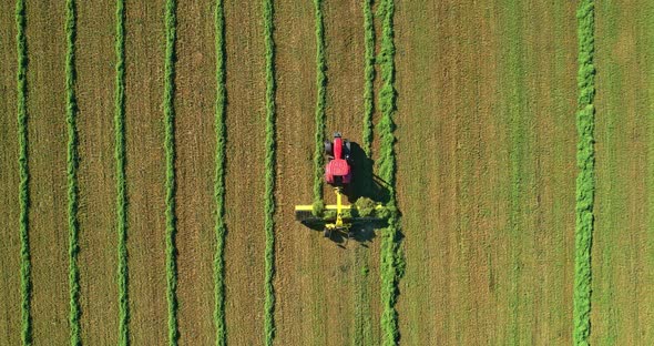 Tractor In The Field