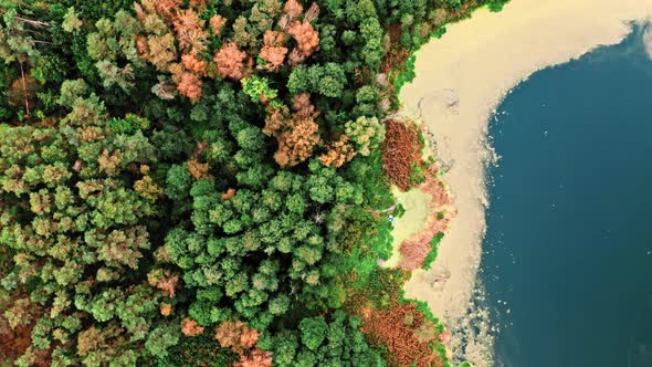 Lake and river full of algae. Aerial view of wildlife.