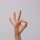 Woman hand gesturing ok symbol. Gesture, sign, symbol. Communication with no talking concept. - VideoHive Item for Sale