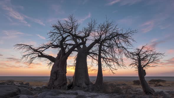 Time Lapse of African Sunrise with Baobab Trees in Silhouette on the Plains of Botswana