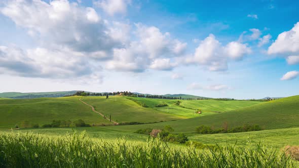 Time lapse: unique green landscape in Volterra region, Tuscany, Italy. Scenic clouds moving by wind.