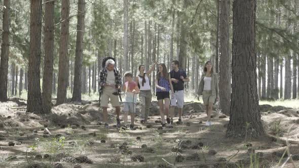 Multi-generation group walking in forest