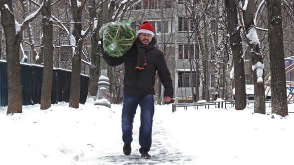Man Carries a Christmas Tree Packed in a Grid Just Bought at the Christmas Market