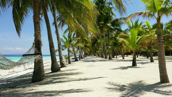 Sandy Beach and Tropical Sea