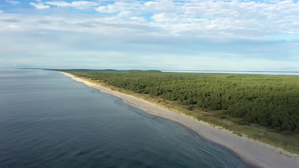 AERIAL: Rotating Shot of Forest Cloudy Sky and Rippling Baltic Sea in Nida