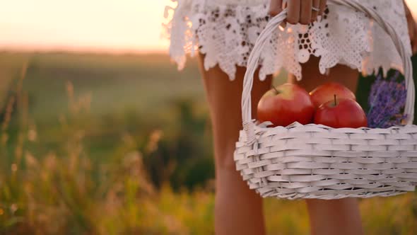 Beautiful sexy blonde girl in white dress posing in a field at sunset with a basket of fruit