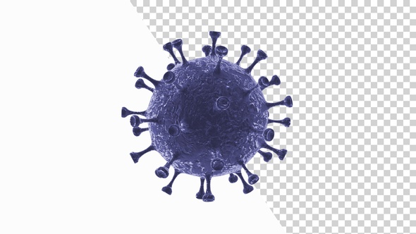 Corona Virus Visualization Covid 19 V6