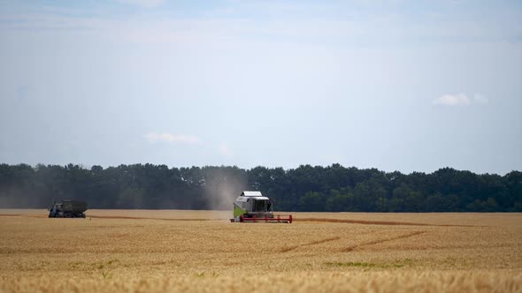 Large modern combine harvester among the ears of wheat