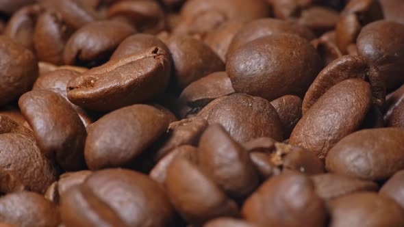 Coffee Bean (2K)