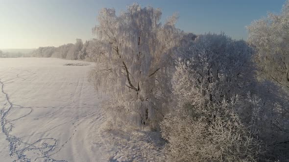 Winter Landscape in Countryside