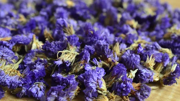 Tea from Myosotis flowers