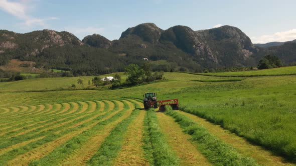 Static shot of a tractor harvesting grass on a field on a farm in rural nature, Norway