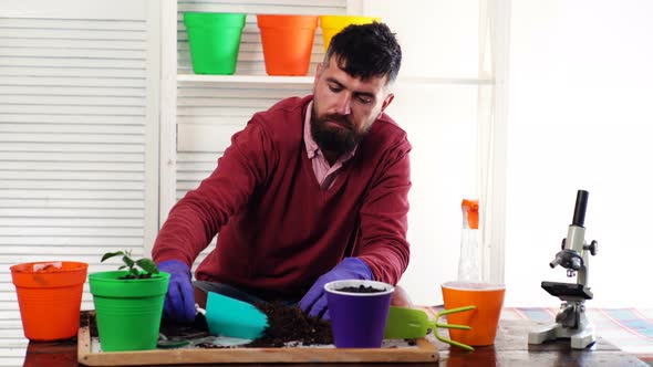 Gardener Man with Plant