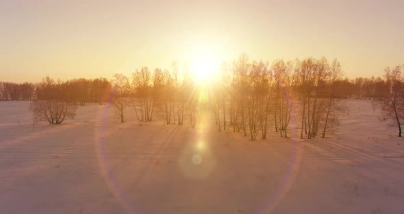 Aerial Drone View of Cold Winter Landscape with Arctic Field Trees Covered with Frost Snow and