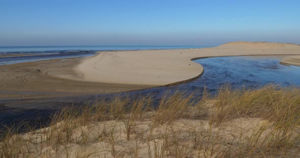 The Courant d Huchet,  Landes department, Nouvelle Aquitaine, France