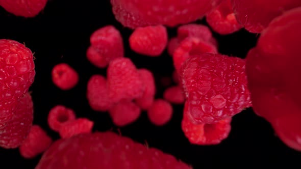 Super Slow Motion Detail Shot of Flying and Rotating Fresh Raspberries at 1000Fps