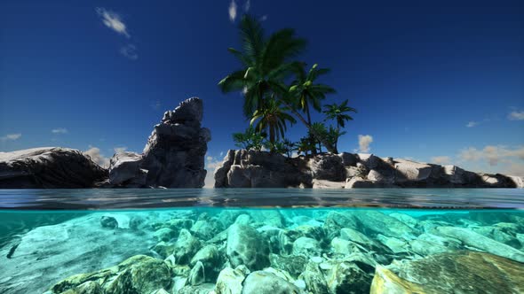 Split View Cross Section of Sea Water and Palm Trees on Island alt