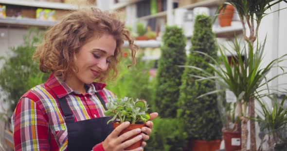 Woman Florist Working in Floral Shop and Taking Care of a Plant