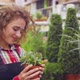 Woman Florist Working in Floral Shop and Taking Care of a Plant - VideoHive Item for Sale