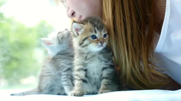 Asian Woman Playing With Cute Kittens