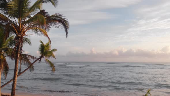 Man Standing Alone Hero Shot on the Beach Under Palm Trees in Punta Cana