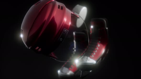 Hockey Puck and Hockey Equipment alt