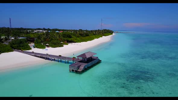 Aerial drone shot nature of idyllic resort beach wildlife by blue sea and white sandy background of 