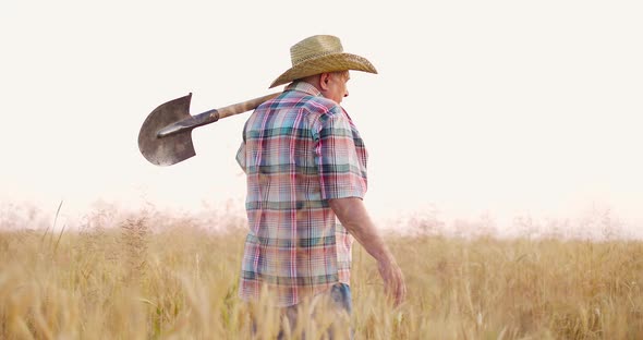 Male Farmer in Check Shirt Straw Hat and Jeans Walking in Wheat Field Holding Shovel on Shoulder