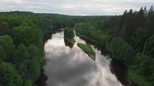 Nature Landscape - River Divides the Coniferous Forest Into Two Halves