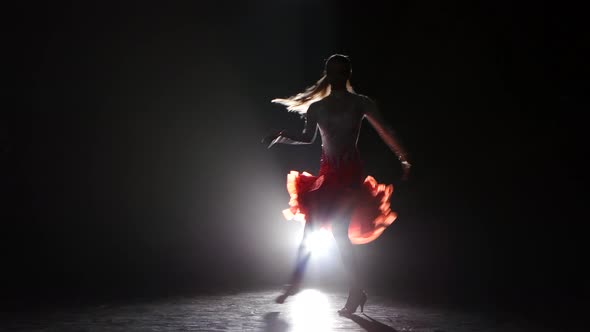 Lady Dancing Cha-cha-cha in the Studio on a Dark Background, Smoke, Silhouette