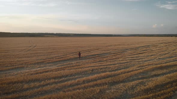 Aerial View Farmer Girl Walking on Wheat Field at Sunset Time. Female Farmer in Plaid Shirt and Hat