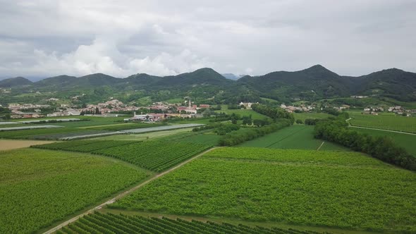 Vineyards with rural houses in Italy during a cloudy summer day. Aerial drone shot of the green hill