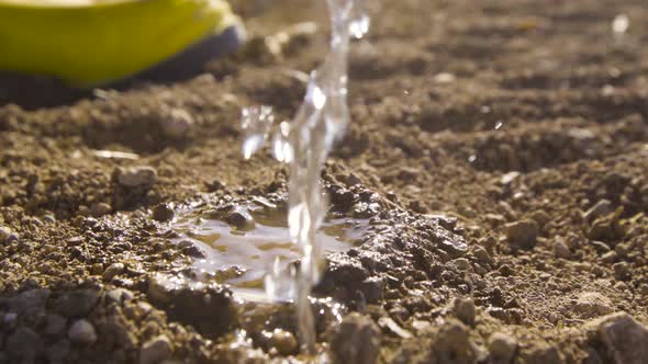 Farmer planting seeds in the field and watering.