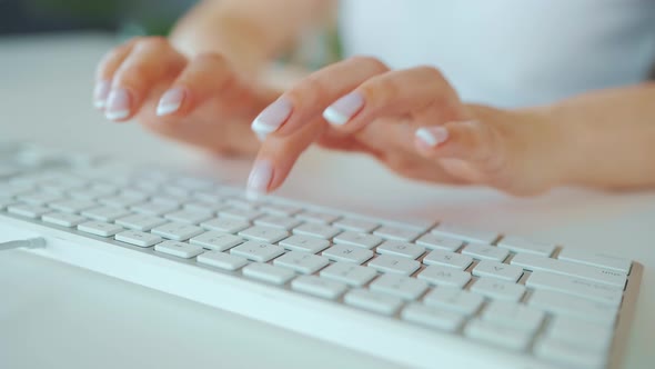 Female Hands Typing on a Computer Keyboard