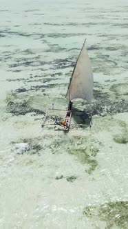 Vertical Video Boats in the Ocean Near the Coast of Zanzibar Tanzania