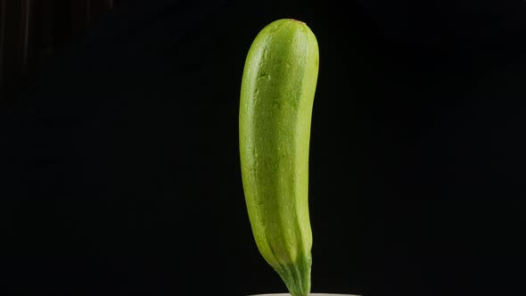 fresh green zucchini