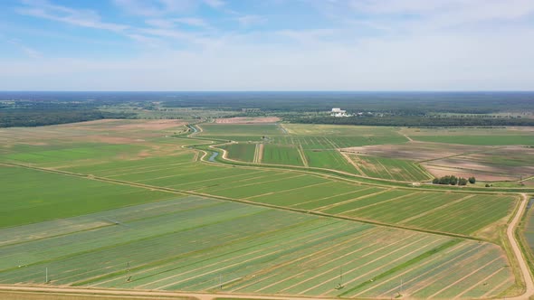 Agricultural Land with Green Crops From Above