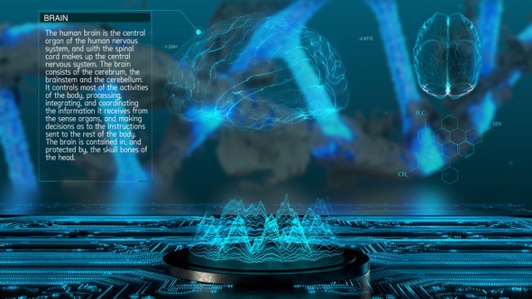 Human Organs Medical Pack alt