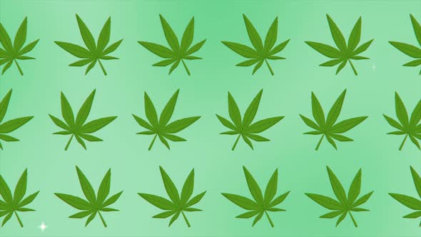 Cannabis Green Leaf Frame Bud and Joint with Copy Space on Background Isolated Gif Animation Pattern