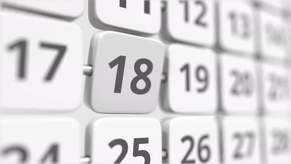 18 Date on the Turning Calendar Plate