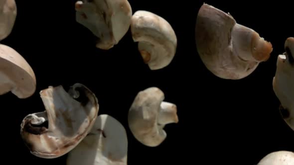 Closeup of the Champignon Mushroom Halves Falling Down in Super Slow Motion